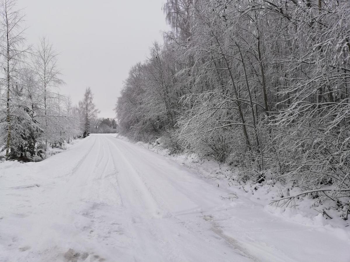 Villa Jekaba Maja Balvi Esterno foto