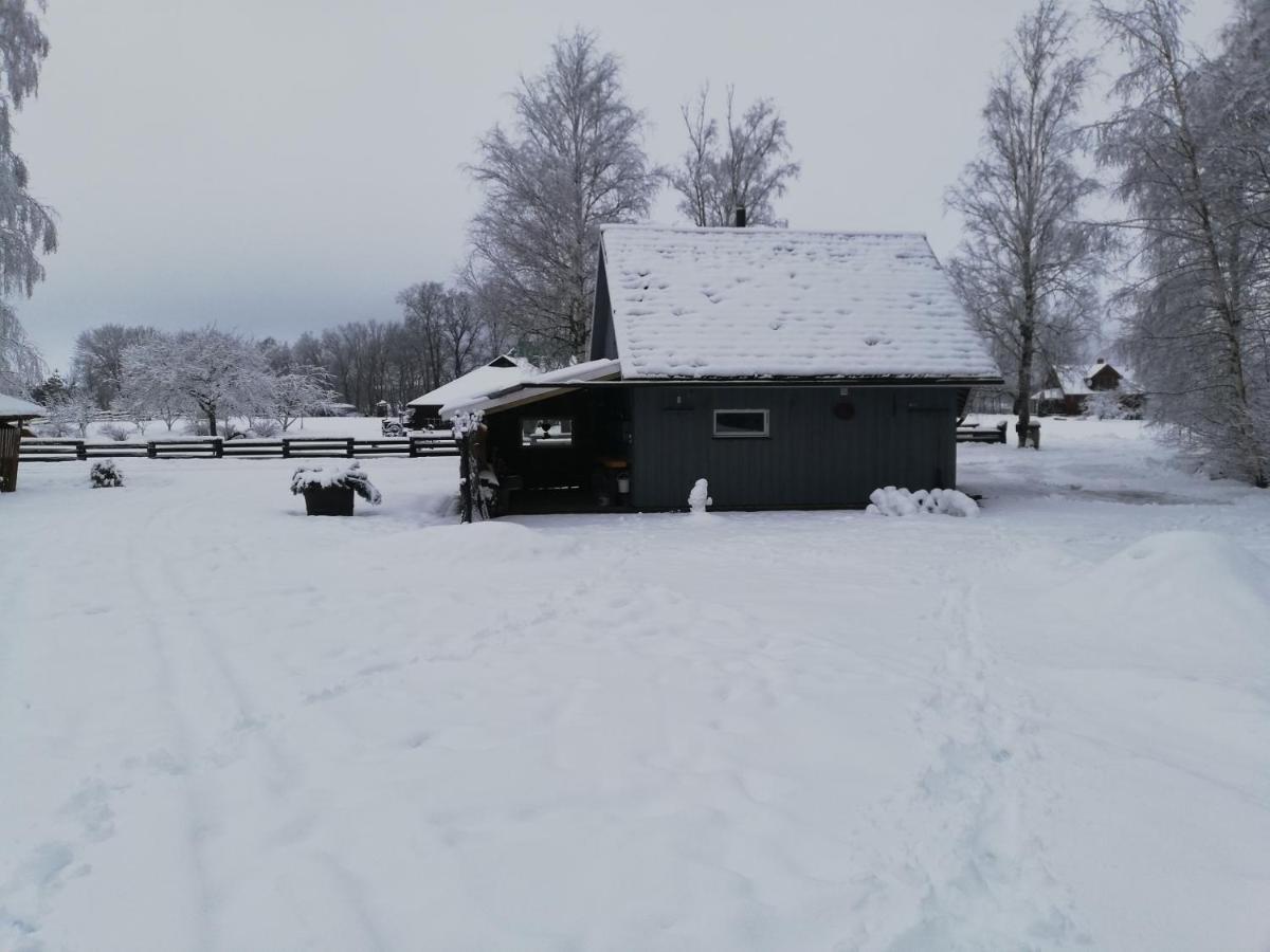 Villa Jekaba Maja Balvi Esterno foto