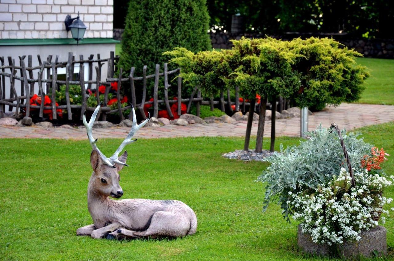 Villa Jekaba Maja Balvi Esterno foto