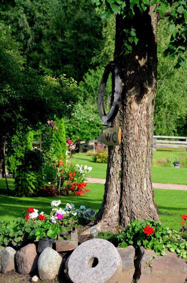 Villa Jekaba Maja Balvi Esterno foto