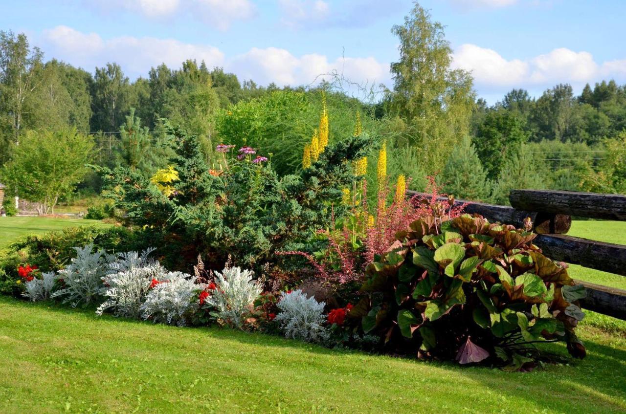 Villa Jekaba Maja Balvi Esterno foto